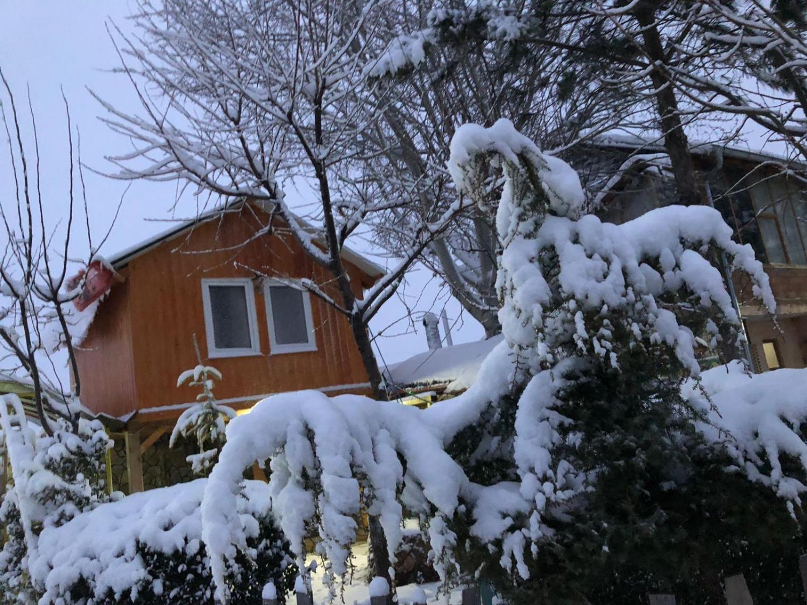 Bujtina Gashi Guest House Kukes Buitenkant foto